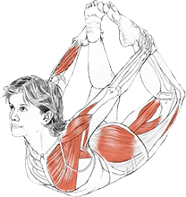 Dhanurasana, Booghouding