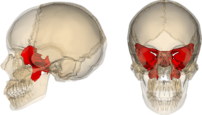 Locatie van de Sphenoid