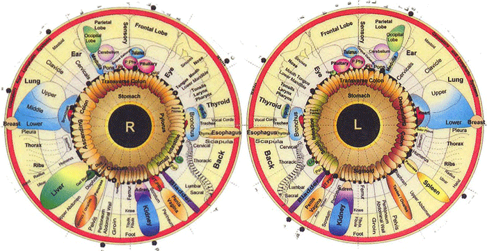 Plattegrond van de iriscopische gebieden