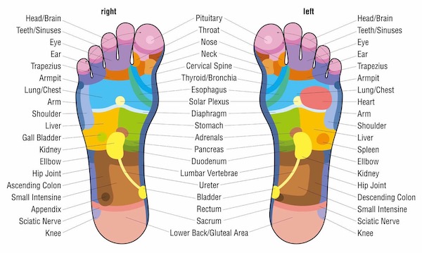 Voeten met reflex zones